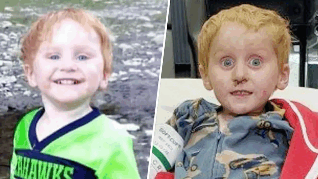 Ryker Webb: Menino que Sobreviveu Dois Dias na Floresta de Montana